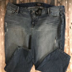 Size 26 Plus Torrid Blue Jeans